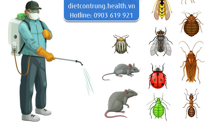 diệt côn trùng bến tre